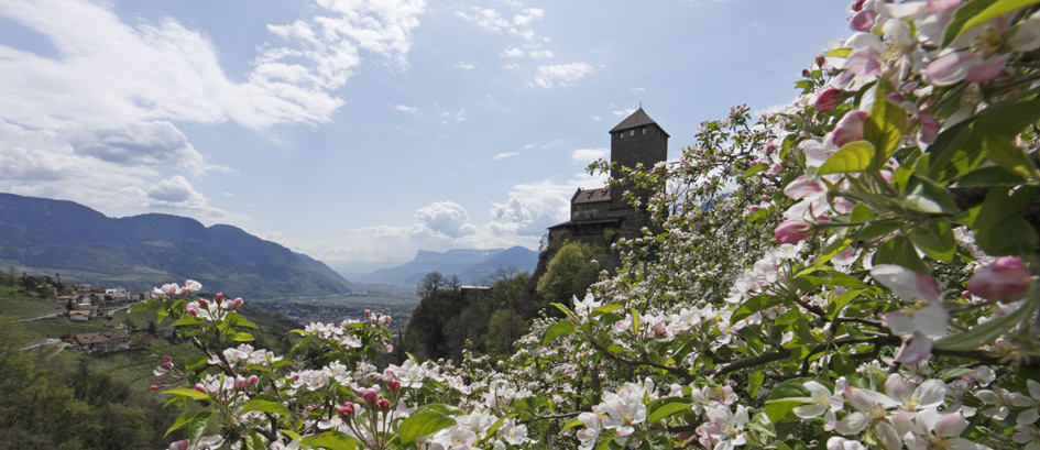 Südtirol König's Resien